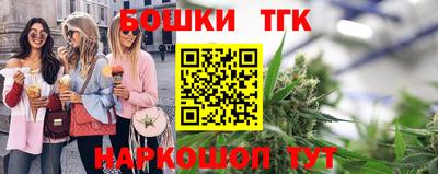 СК Гатчина