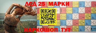 СК Гатчина