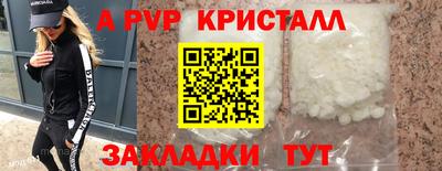 СК Гатчина