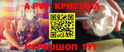 СК Гатчина