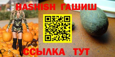 СК Гатчина
