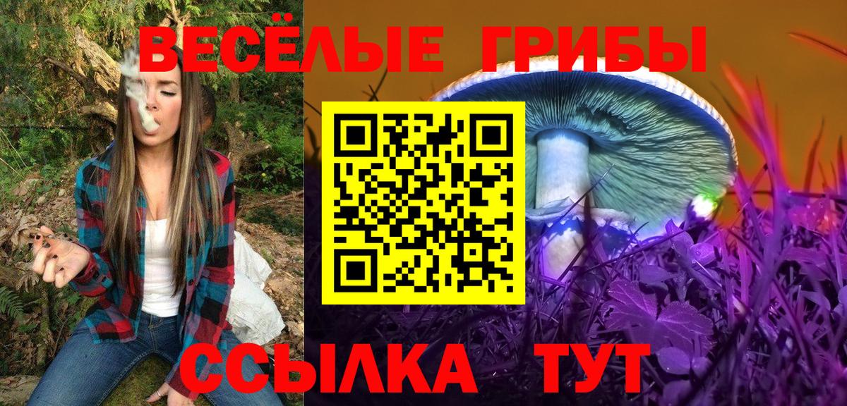 Галлюциногенные грибы Psilocybine cubensis Ржев